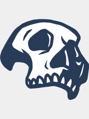 Elements Skulls logo template 103