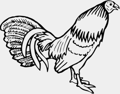 CHICK001