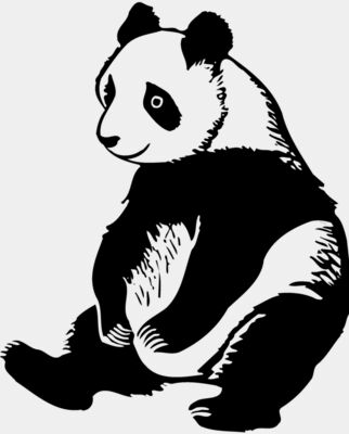 BEAR008