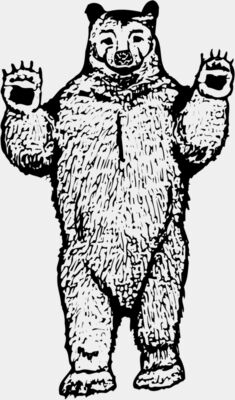 BEAR009