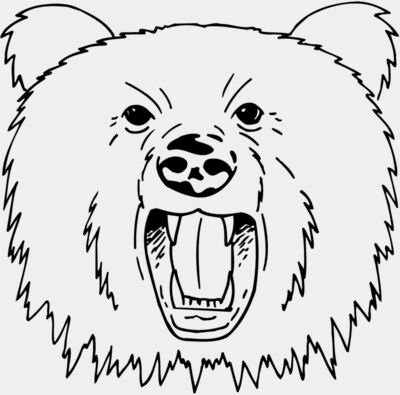 BEAR023