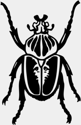 BEETLE04