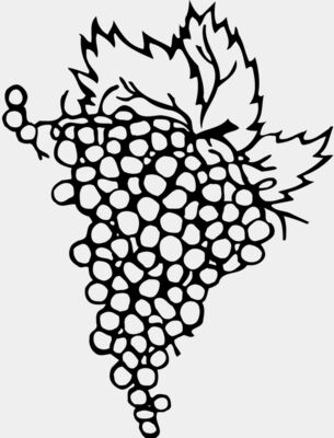FRUIT004