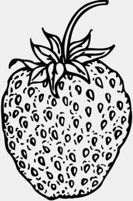 FRUIT009