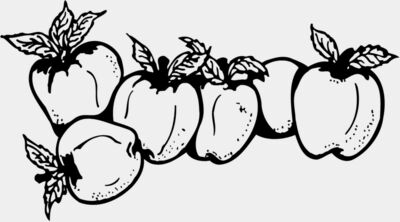 FRUIT029