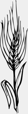 GRAIN009