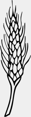 GRAIN010