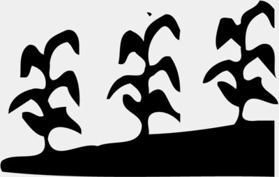 GRAIN016