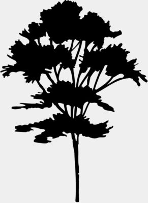 TREE0025