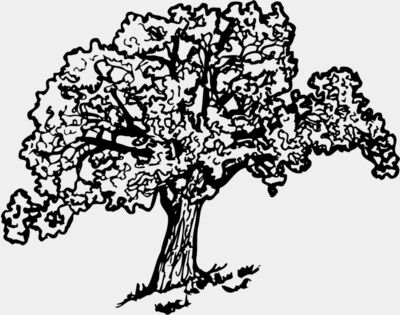 TREE0027
