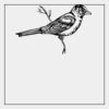 Standard Screen Print Transfer X-Large Back Area Thumbnail