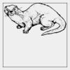 Full Color Transfer Neck Label / Tag  Thumbnail