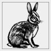 Full Color Transfer Neck Label / Tag  Thumbnail
