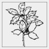Full Color Transfer 5x5" Thumbnail