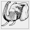 Full Color Transfer 6x6" Thumbnail