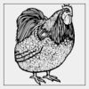 Full Color Transfer 7x7" Thumbnail