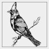 Full Color Transfer 7x7" Thumbnail