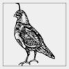 Full Color Transfer 7x7" Thumbnail