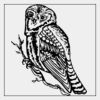 Full Color Transfer 7x7" Thumbnail