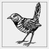 Full Color Transfer 7x7" Thumbnail