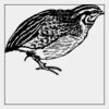 Full Color Transfer 7x7" Thumbnail