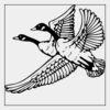 Full Color Transfer 7x7" Thumbnail