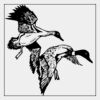 Full Color Transfer 7x7" Thumbnail