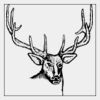 Full Color Transfer 7x7" Thumbnail