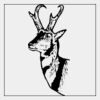 Full Color Transfer 7x7" Thumbnail