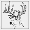 Full Color Transfer 7x7" Thumbnail