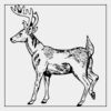 Full Color Transfer 7x7" Thumbnail
