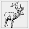 Full Color Transfer 7x7" Thumbnail