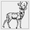 Full Color Transfer 7x7" Thumbnail