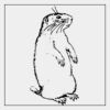 Full Color Transfer 7x7" Thumbnail