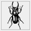 Full Color Transfer 7x7" Thumbnail