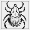 Full Color Transfer 7x7" Thumbnail