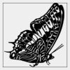 Full Color Transfer 7x7" Thumbnail