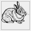 Full Color Transfer 7x7" Thumbnail