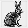 Full Color Transfer 7x7" Thumbnail