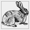 Full Color Transfer 7x7" Thumbnail