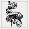 Full Color Transfer 7x7" Thumbnail