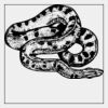 Full Color Transfer 7x7" Thumbnail