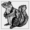 Full Color Transfer 7x7" Thumbnail