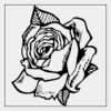 Full Color Transfer 7x7" Thumbnail