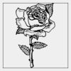 Full Color Transfer 7x7" Thumbnail