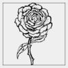 Full Color Transfer 7x7" Thumbnail