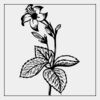 Full Color Transfer 7x7" Thumbnail