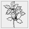 Full Color Transfer 7x7" Thumbnail