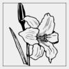 Full Color Transfer 7x7" Thumbnail