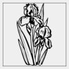 Full Color Transfer 7x7" Thumbnail